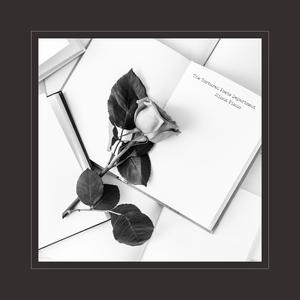 欧美大片欧美老妇
