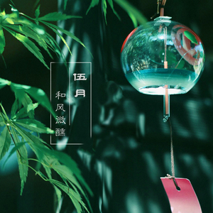 欧美大片欧美老妇
